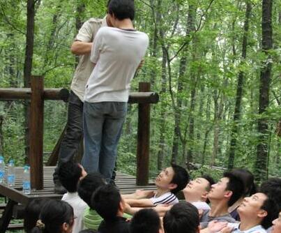 信任背摔图